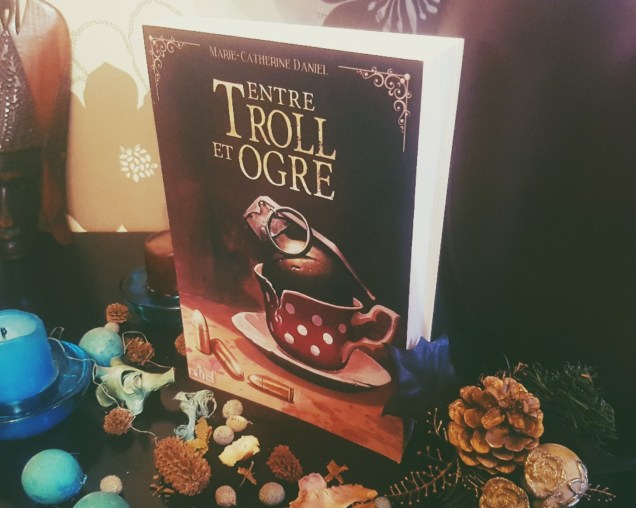 entre troll et orgre.jpg