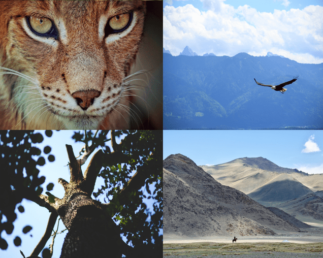 les enfants d'alliel.png