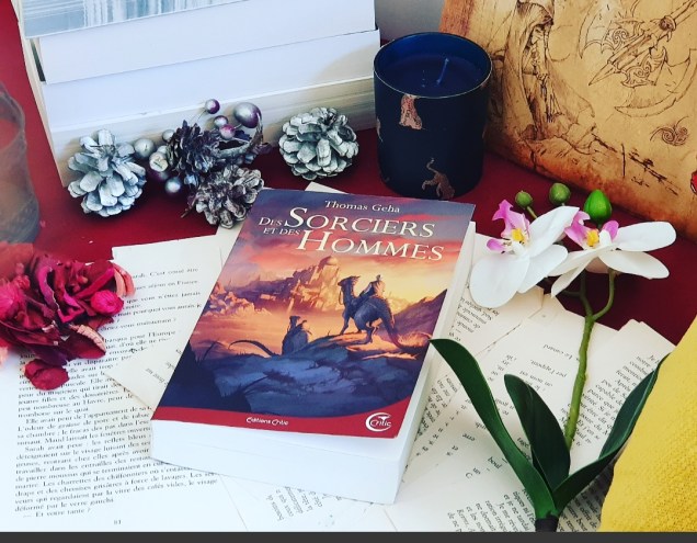 Des Sorciers et des hommes