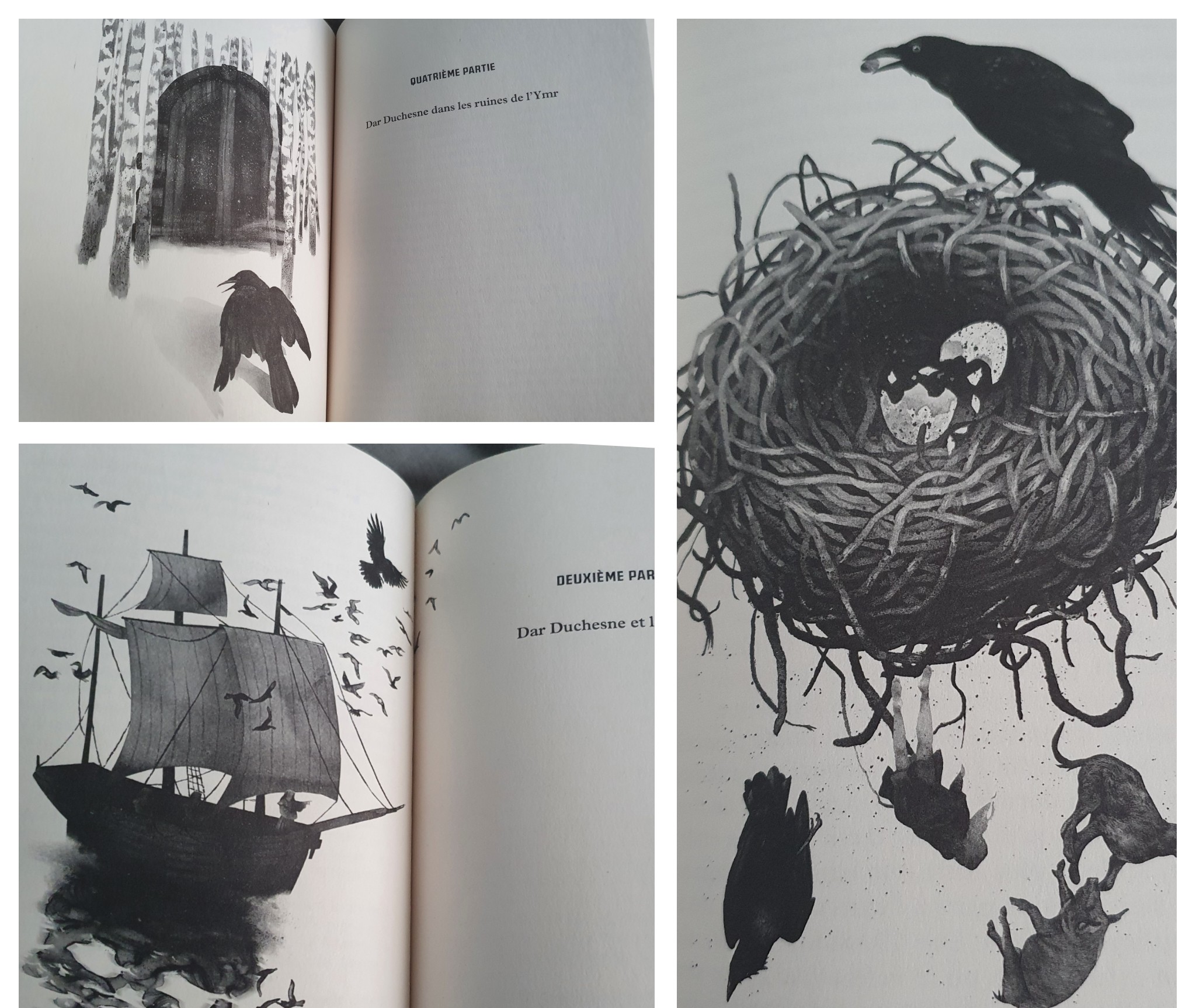 PhotoCollage_1610880565350