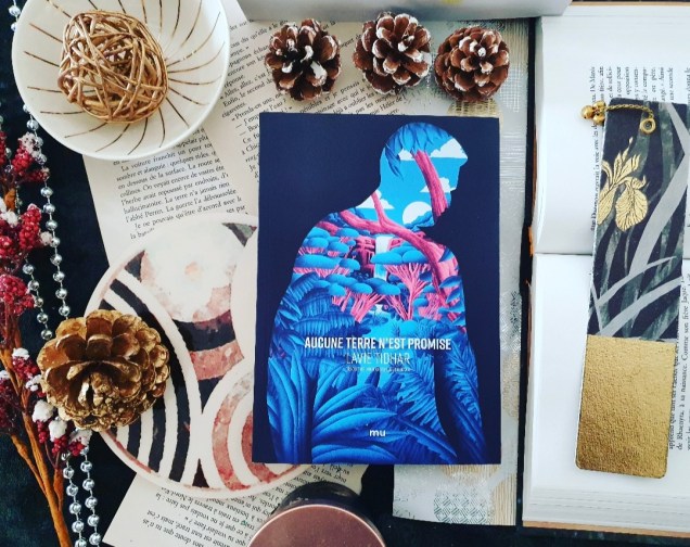 Aucune terre n'est promise