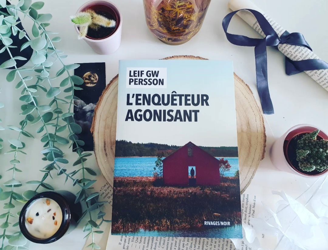 Screenshot_20230618_140216_Instagram