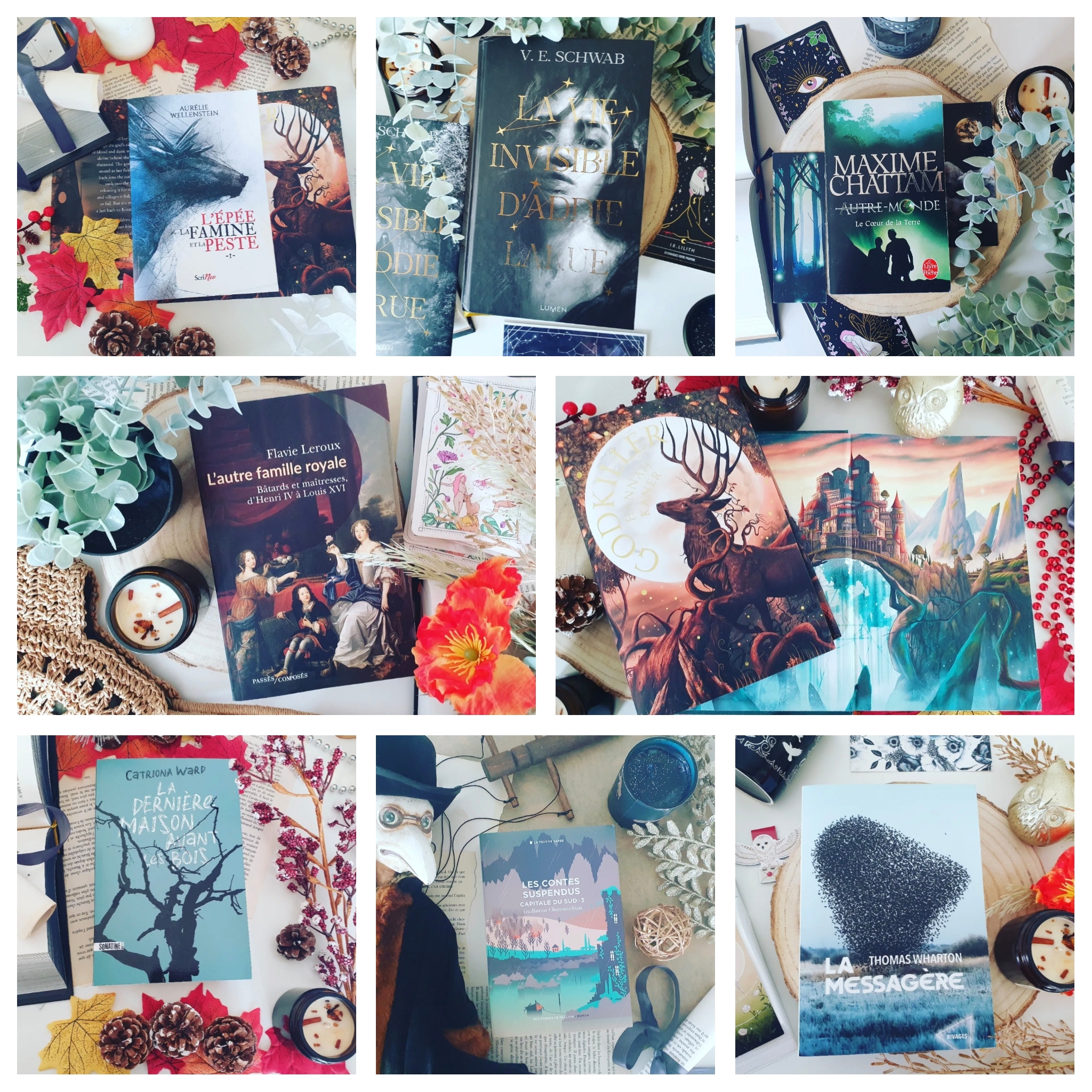 PhotoCollage_1690741141519