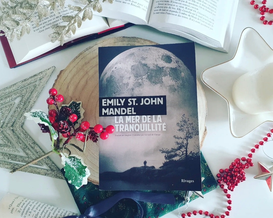 la mer de la tranquillité