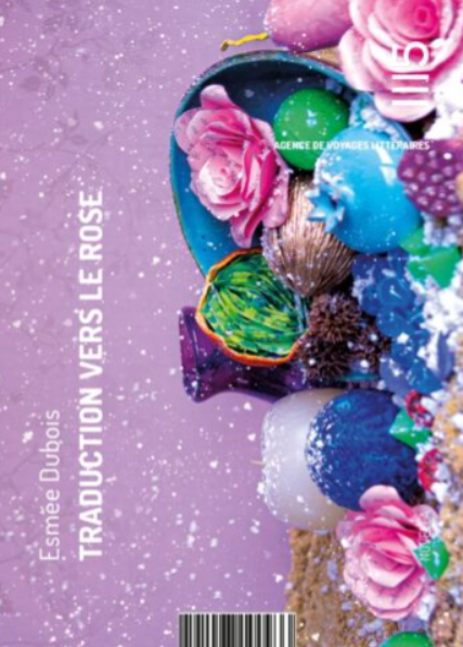 Capture d'écran 2024-05-06 184945