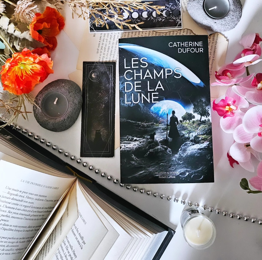 Les champs de la lune